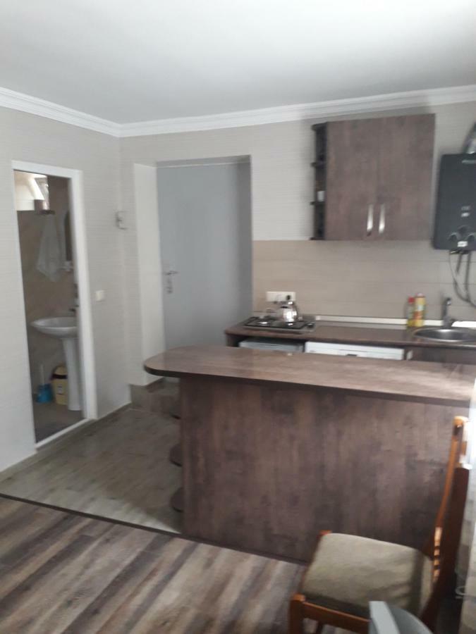 Apartament Sofia Appartement Bordzjomi Buitenkant foto
